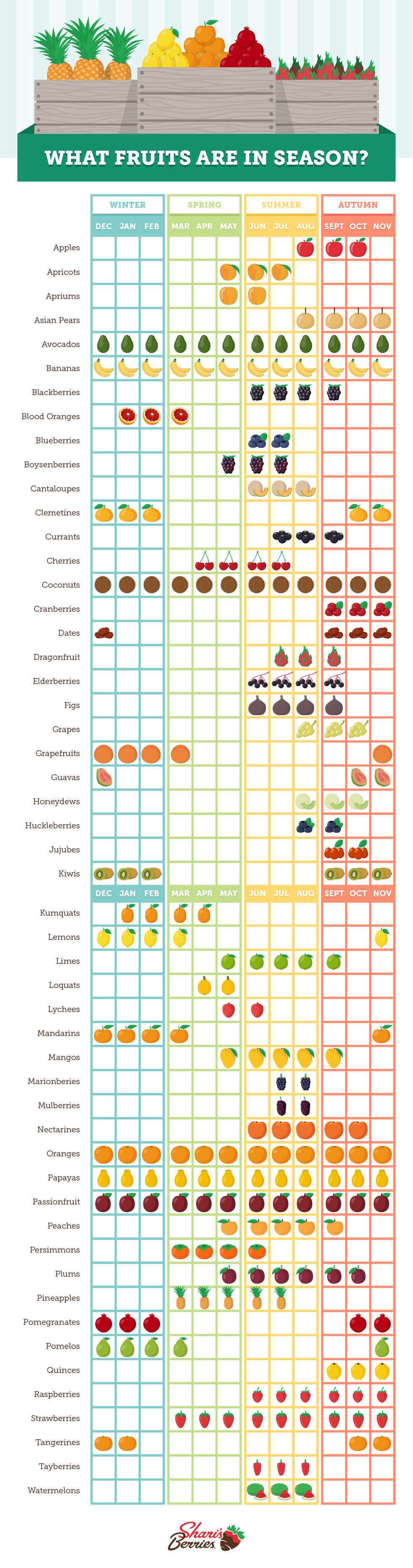 Illustrated Seasonal Fruit Chart Guide