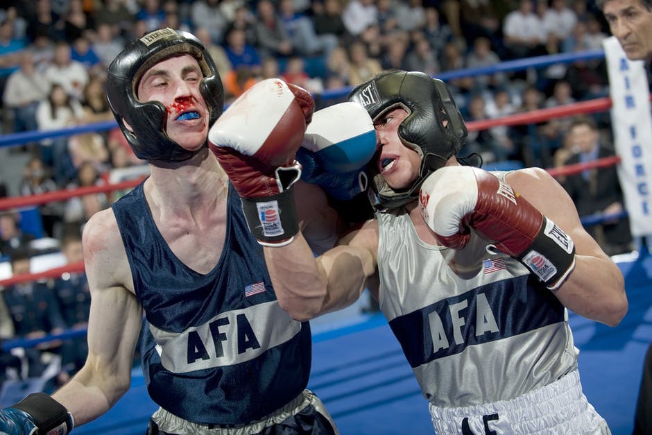 Boxers In The Ring