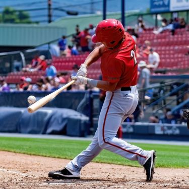How To Tell if Your Baseball Bat Is Dying