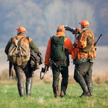 Essential First-Time Hunting Tips for Beginners
