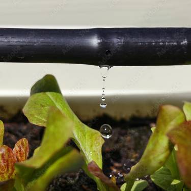 How Farmers Can Adopt More Sustainable Practices