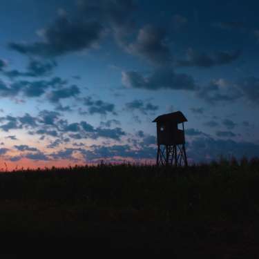 Night Hunting Tips and Tricks for Beginners