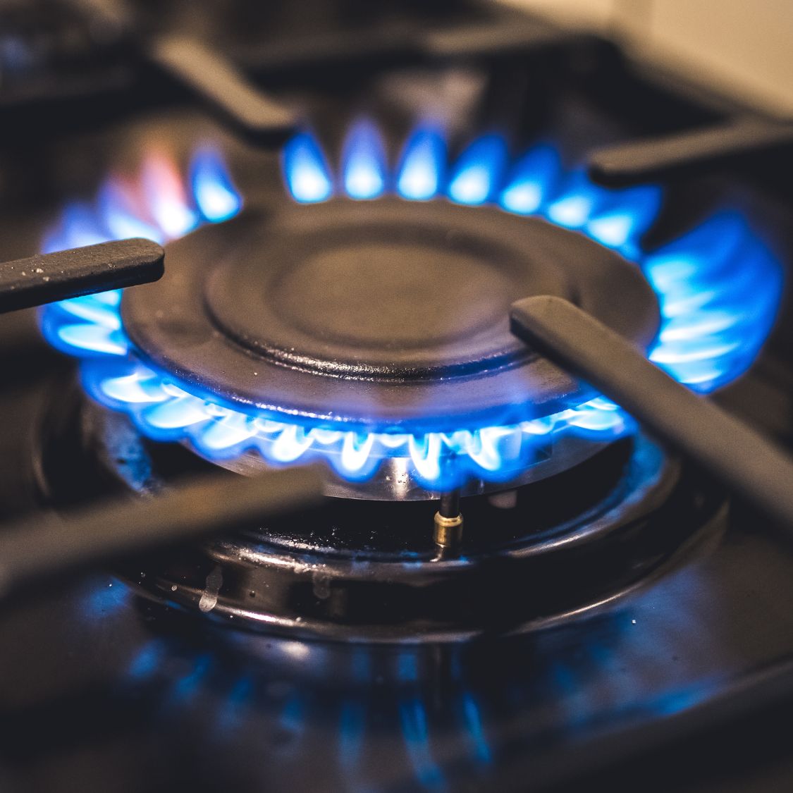 Electric vs. Gas Stoves: Which Is Best for Your Business?