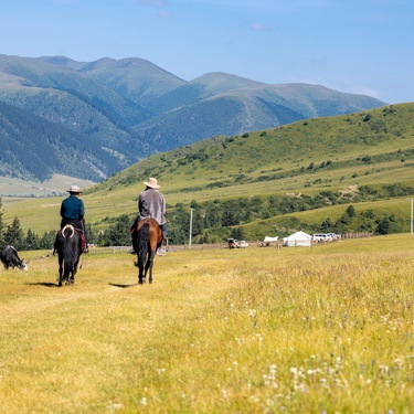 Common Riding Mistakes That Strain a Horse’s Back