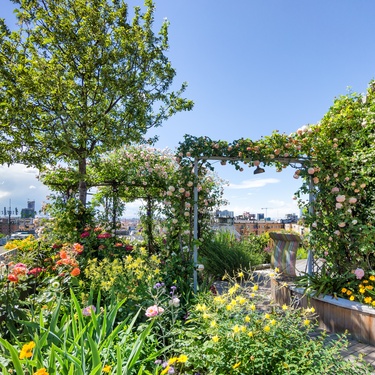  5 Ways To Create Privacy in Rooftop Green Spaces