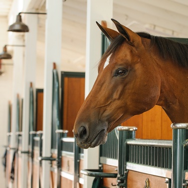 4 Advantages of Building an Equestrian Pole Barn