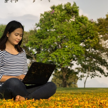 Person sits cross-legged on grass using laptop in park, surrounded by trees and yellow fallen leaves.