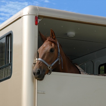 How To Spot Wear and Tear in Your Horse Trailer