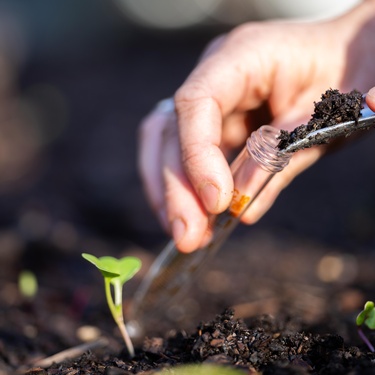 News Videos, Events, and Features