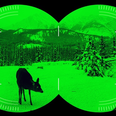 A scene looking through night vision binoculars with a green hue. A deer is standing in a snowy forest.