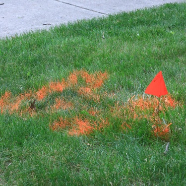 An area of grass next to a sidewalk with a red utility marker flag and spray-painted symbols on the grass.