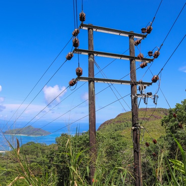Power lines going through a utility pole on a tropical island. Behind the power lines are trees and the ocean.