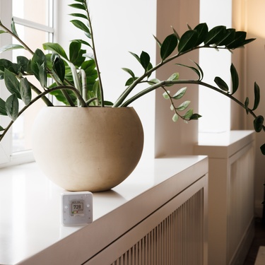 An indoor air quality sensor that reads 728 sits next to a green houseplant in a white pot by the windowsill.