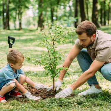 The Best Times of Year for Planting and Transplanting Trees
