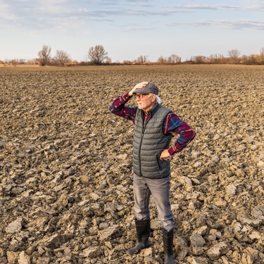 Agriculture Problems: Common Causes of Soil Erosion