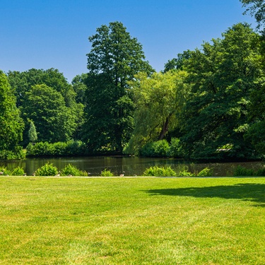 What To Do With Land You Don’t Want To Sell