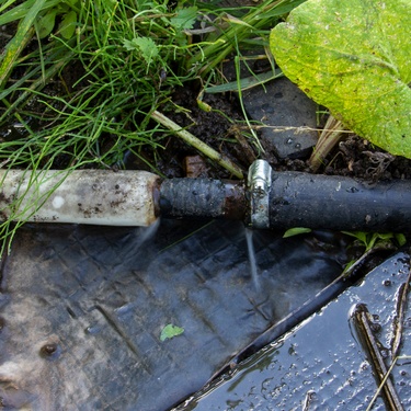 News Videos, Events, and Features