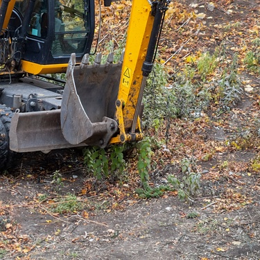 Understanding Vegetation Management and Its Importance