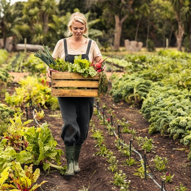 A woman walking through rows of crops with a wooden crate full of vegetables. There's a lush forest behind her.