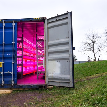 Why Shipping Containers Offer a Controlled Growing Setting