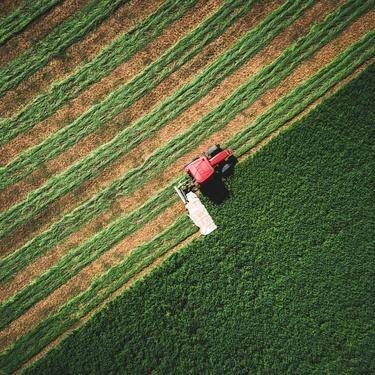4 Common Hazards That Farmers Face on the Job