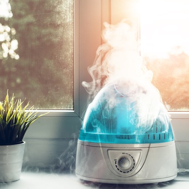 Why Some Humidity in Your Home Is a Good Thing