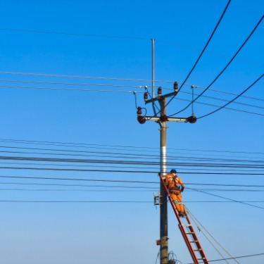 Why Ground-Line Protection Matters for Utility Poles