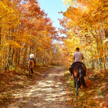 Two people riding horses on a dirt path between trees with orange and yellow leaves on both sides.