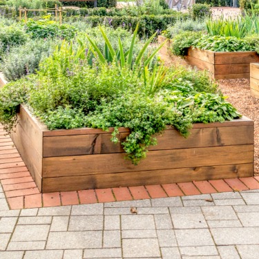 Wooden raised garden beds overflowing with green herbs and leafy plants, surrounded by brick pathways and gravel.