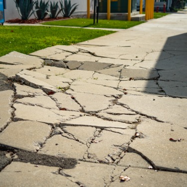 A walking path has suffered serious damage. A large portion of it is raised and cracked. There is some asphalt repair work.
