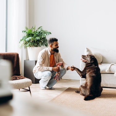 A man crouches down in front a chocolate Labrador in a living room. The dog is sitting and holding up a paw.