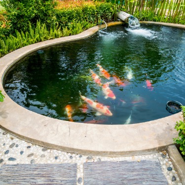 DIY vs. Professional Garden Pond Liner Installation