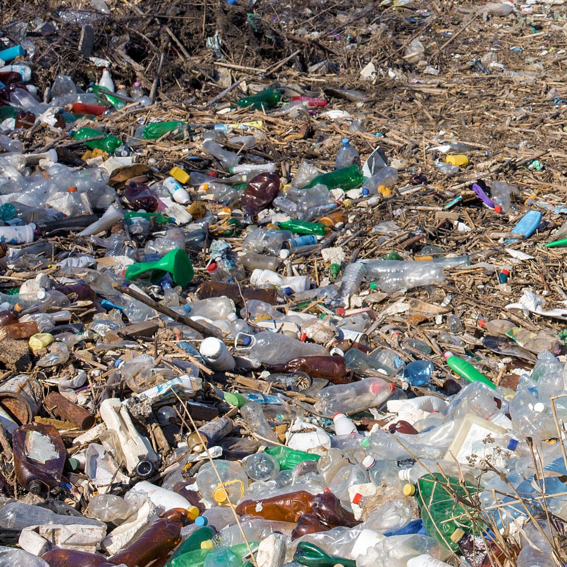 How Do Landfills Damage the Environment?