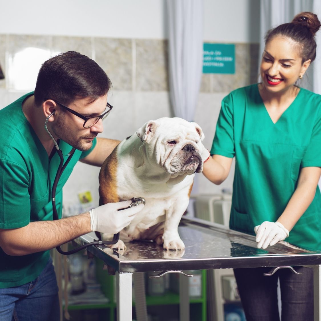 How To Hire People for Your Veterinary Clinic