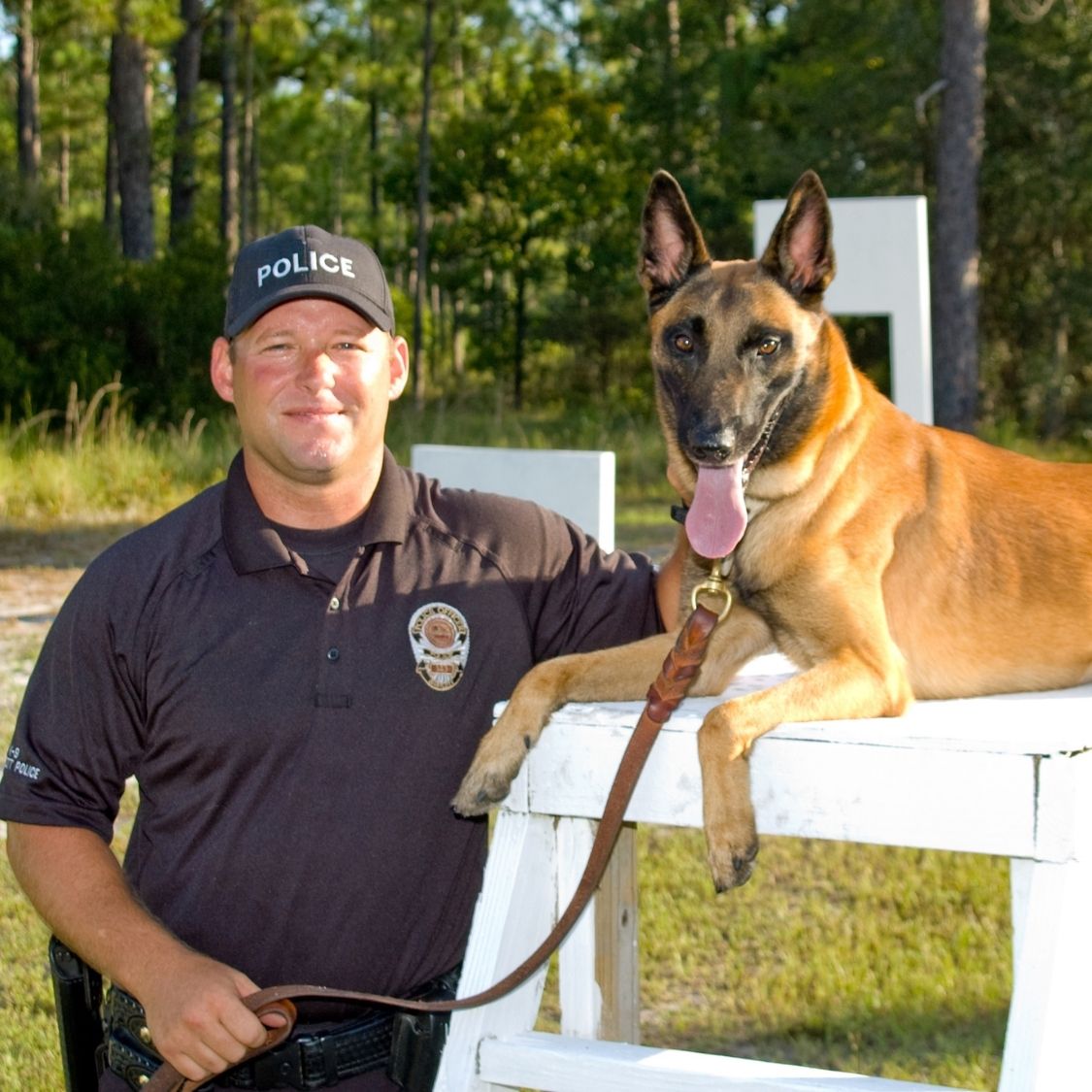 Dog Police: Steps To Becoming a K9 Police Officer