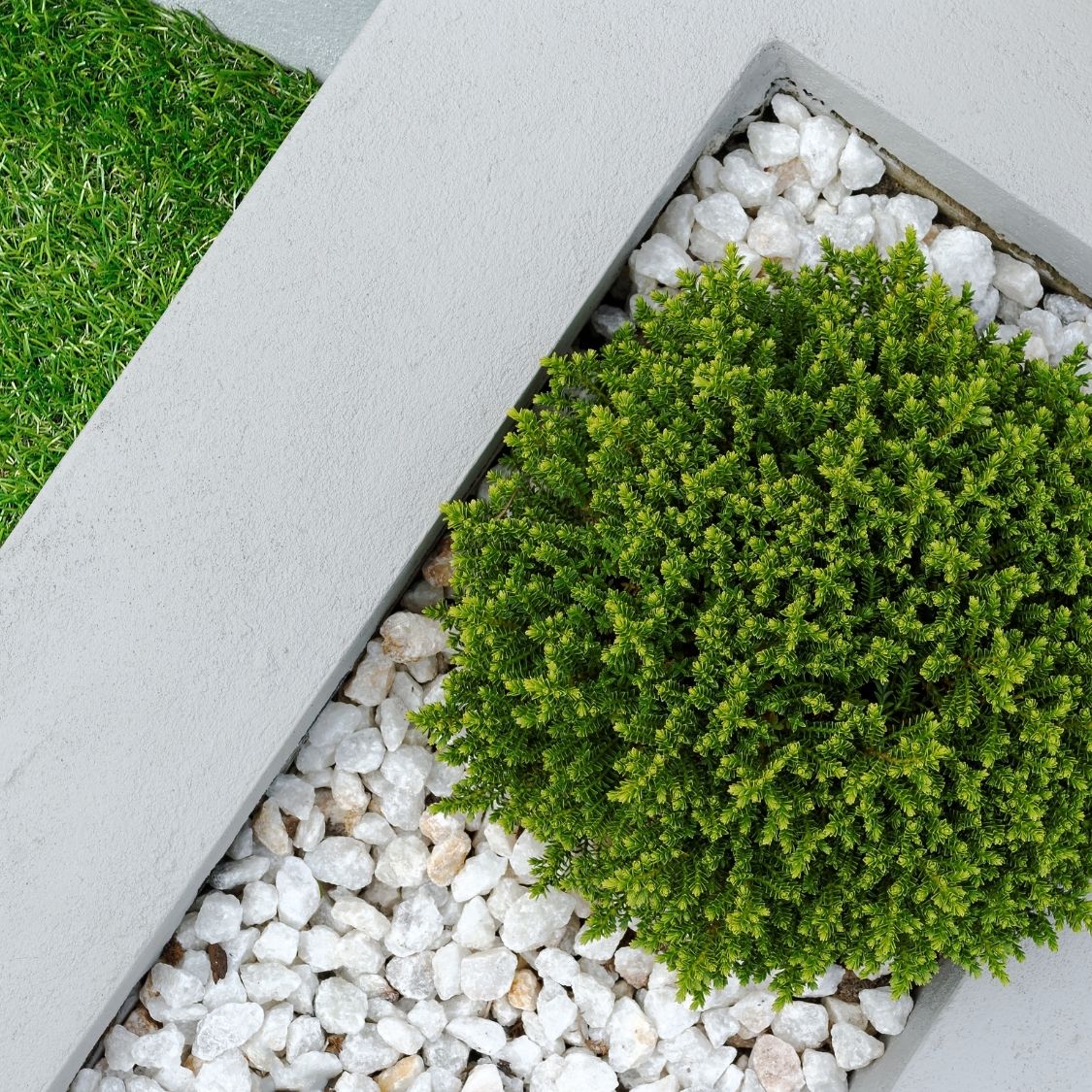 Tips for Protecting Your Landscaping During Construction