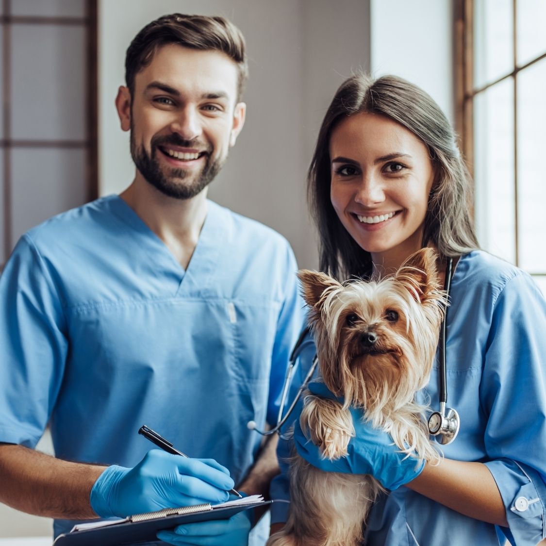 Ways To Improve Client Retention at Your Veterinary Clinic