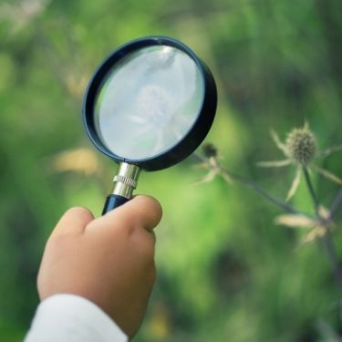 Ways To Get Your Kids Interested in Nature