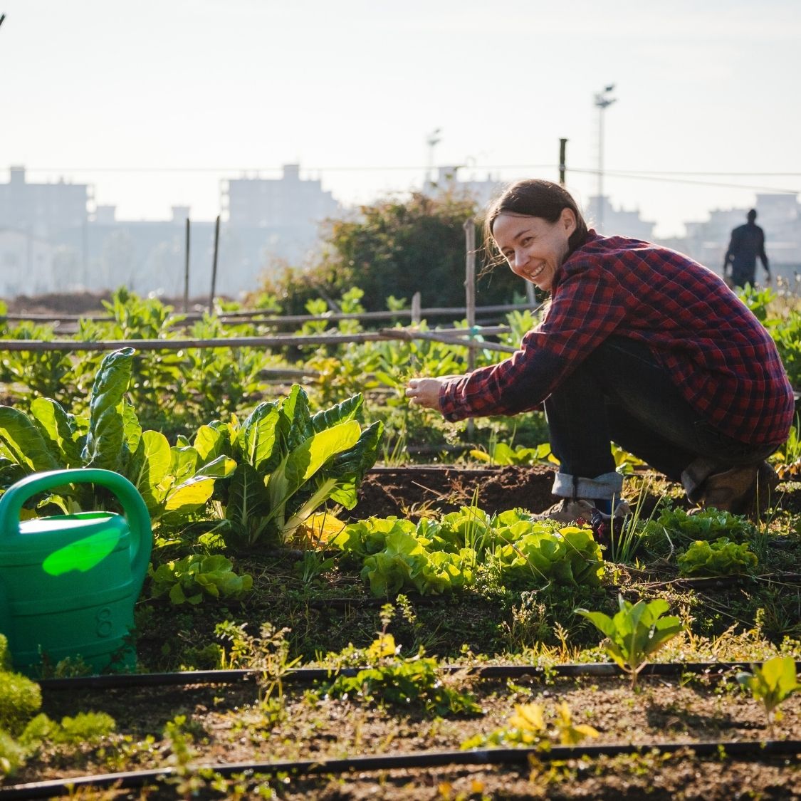 Tips for Building a Sustainable Community