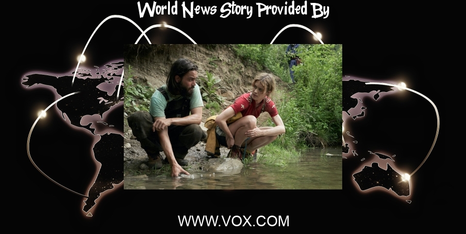 World News: Art after apocalypse: Syllabus for a new world - Vox.com