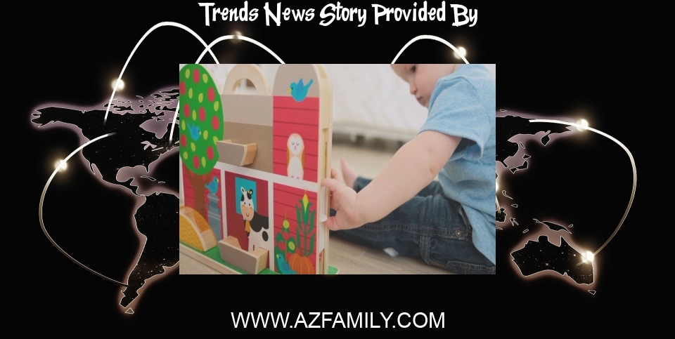 Trends News: Top toy trends to know for this year’s holiday gift season - Arizona's Family