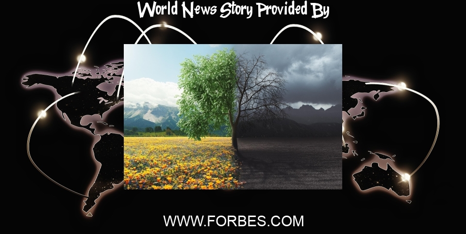 World News: What BANI Really Means (And How It Corrects Your World View) - Forbes