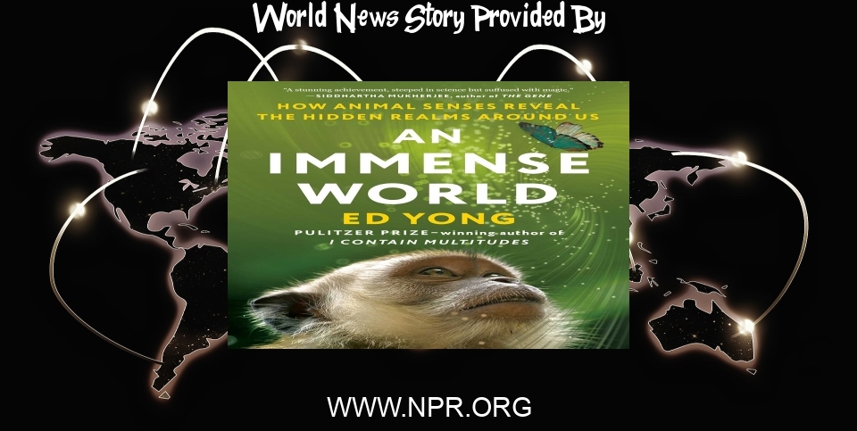 World News: In 'An Immense World', Ed Yong dives deep into animal senses - NPR