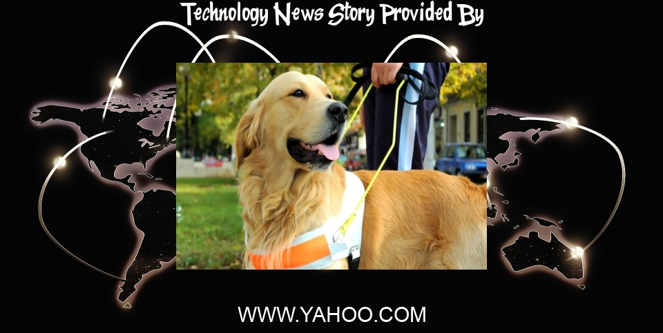 Technology News: AI-Driven Technology Could Replace Guide Dogs in the Future - Yahoo Life
