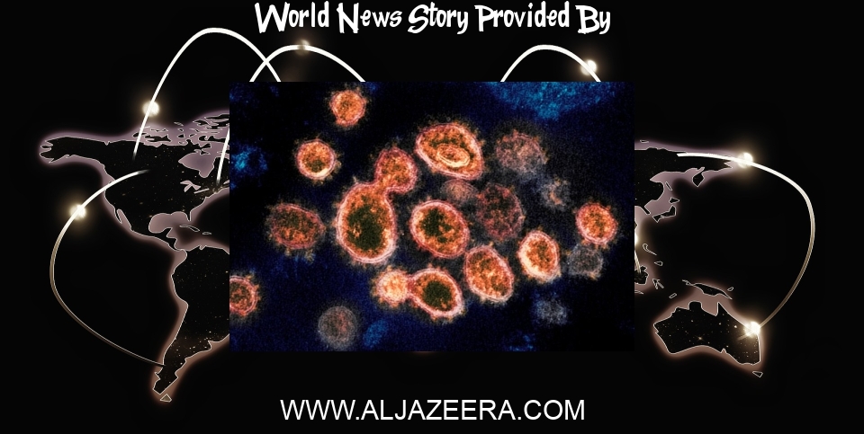 World News: US researchers share COVID-19 vaccine with the world - Al Jazeera English