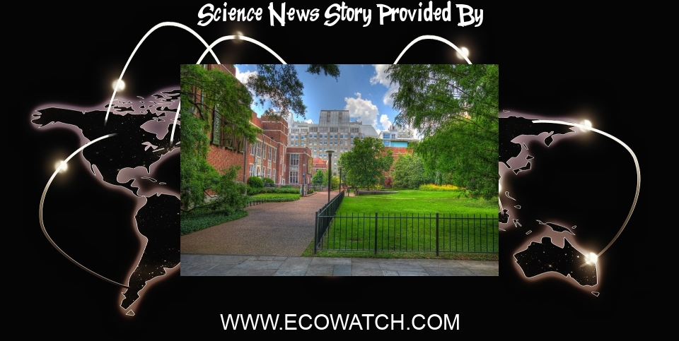Science News: 'Not Just a Science' Vanderbilt University's New Major Offers a New Way to Study Climate Change - EcoWatch