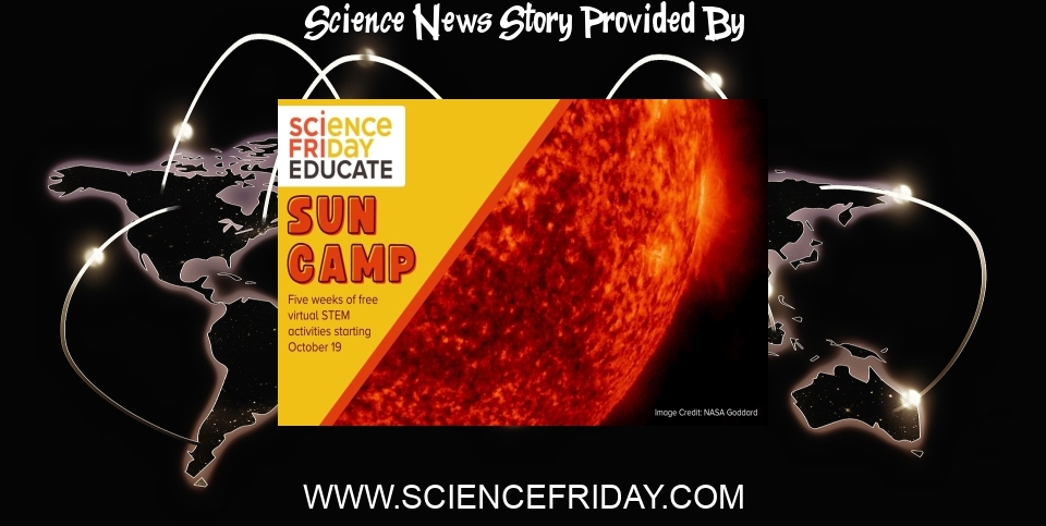 Science News: Bright Idea: Science Friday's Sun Camp! - Science Friday